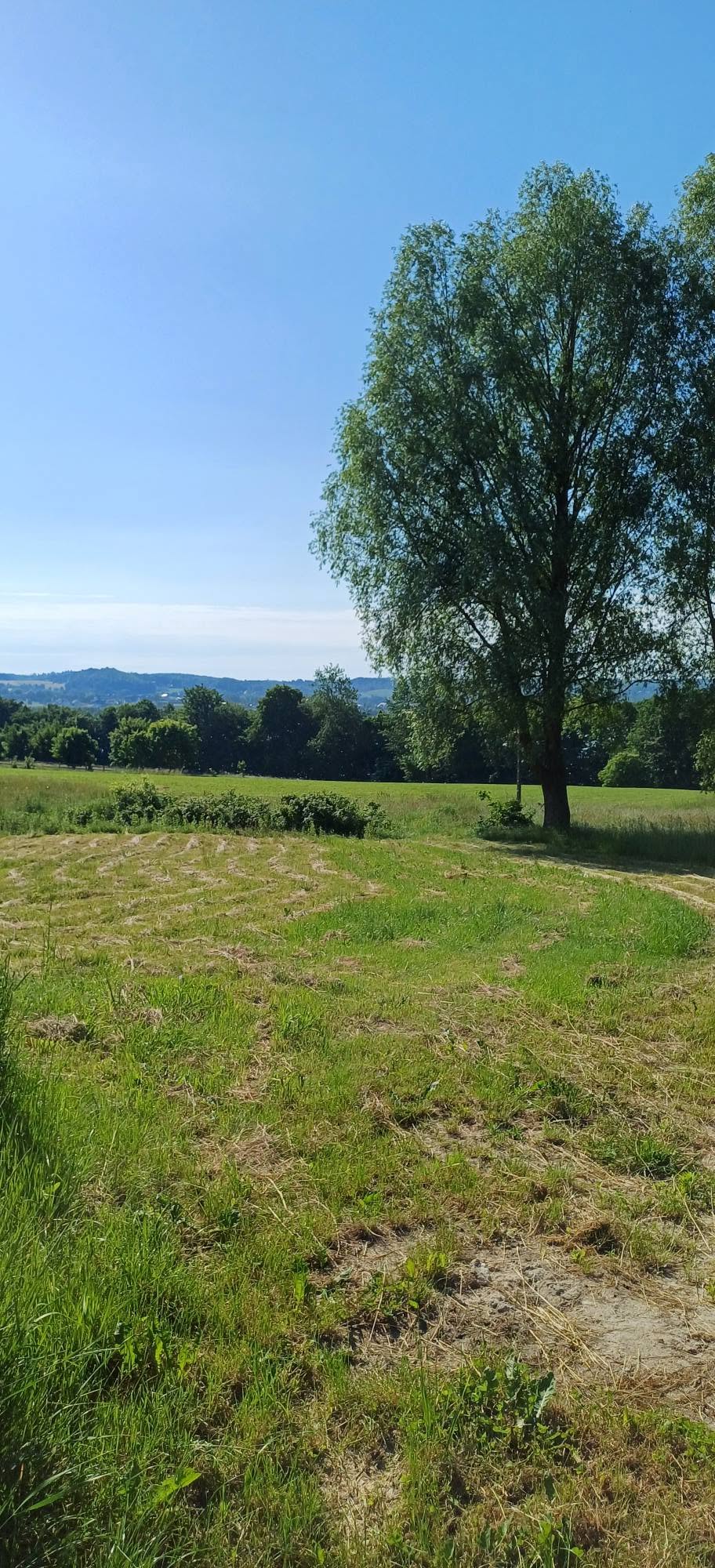 Widok na kaszubskie wzgórza z pola namiotowego